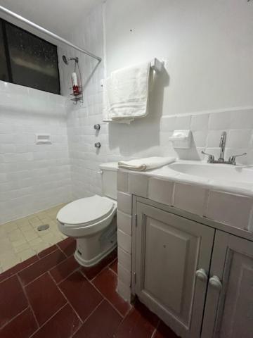 Depa Nogal, Centro Villa San Miguel de Allende Dış mekan fotoğraf